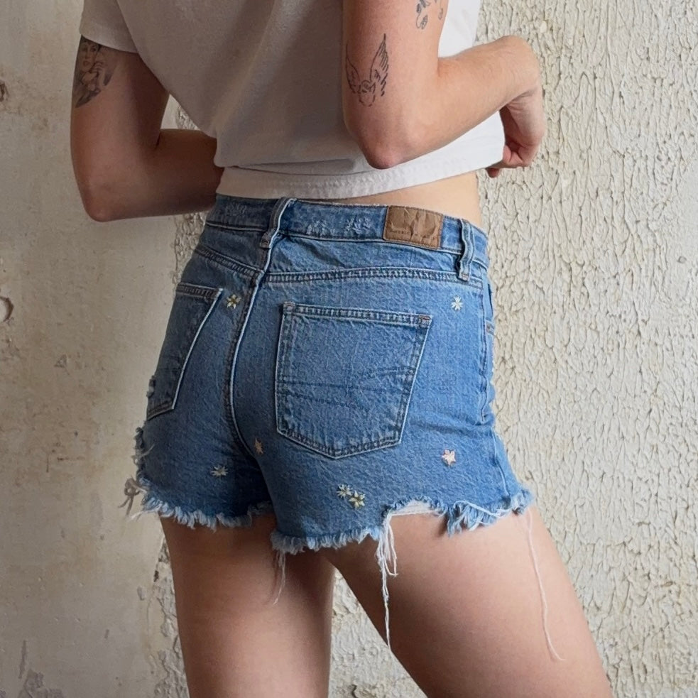 AE Y2K Shorts XXS